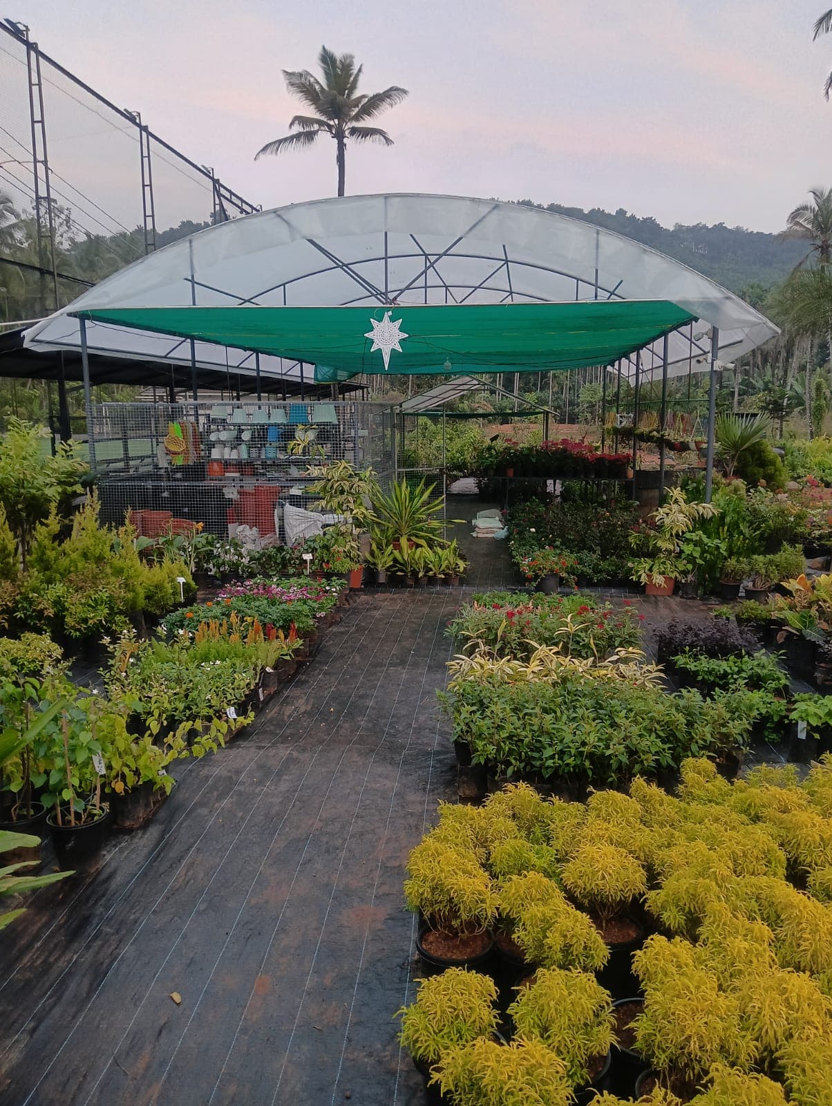 Vavanikunnel Rubber & Garden Nursery